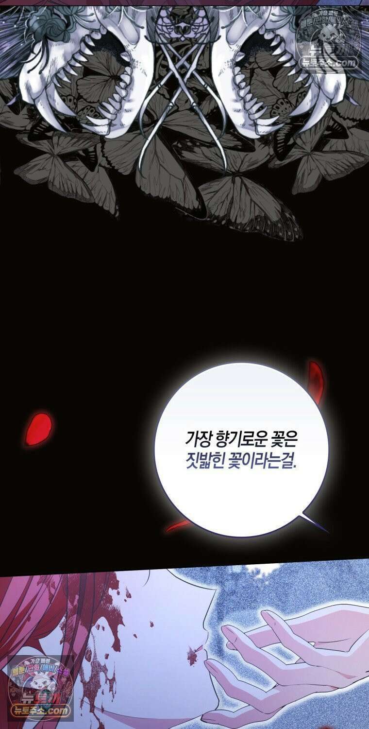 남주들의 표적이 되어 버렸다 49화 9