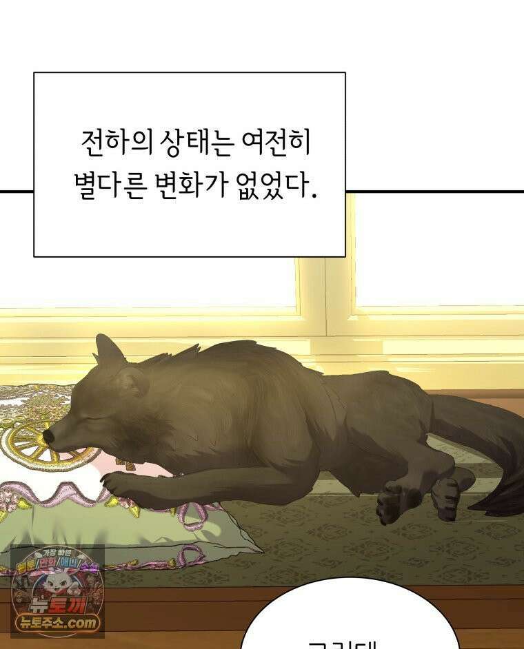 늑대 대공의 반려인간 77화 14