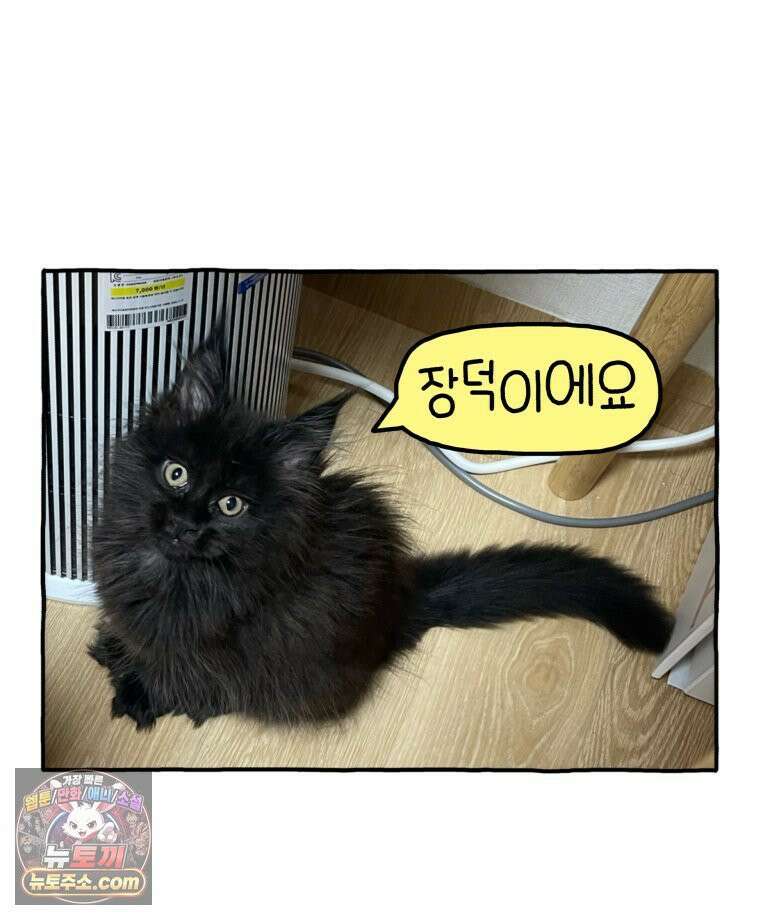 먼지 덩어리 짱덕 1． 첫 만남이에요 33
