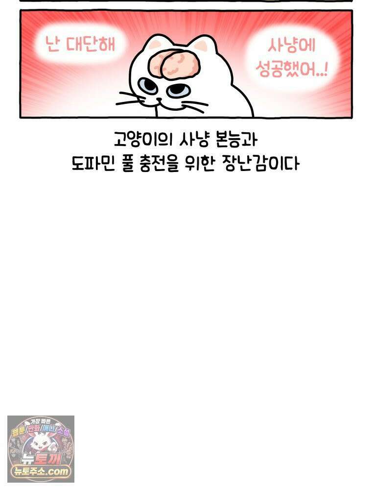 먼지 덩어리 짱덕 9． 먹이 퍼즐 8