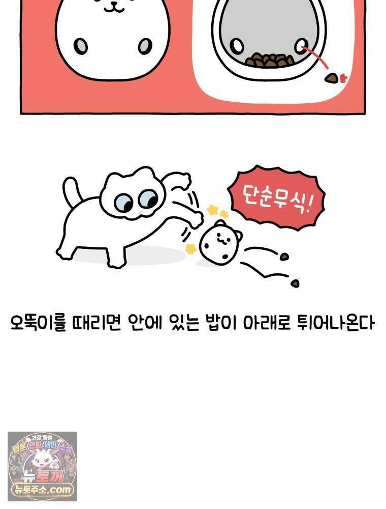 먼지 덩어리 짱덕 9． 먹이 퍼즐 30