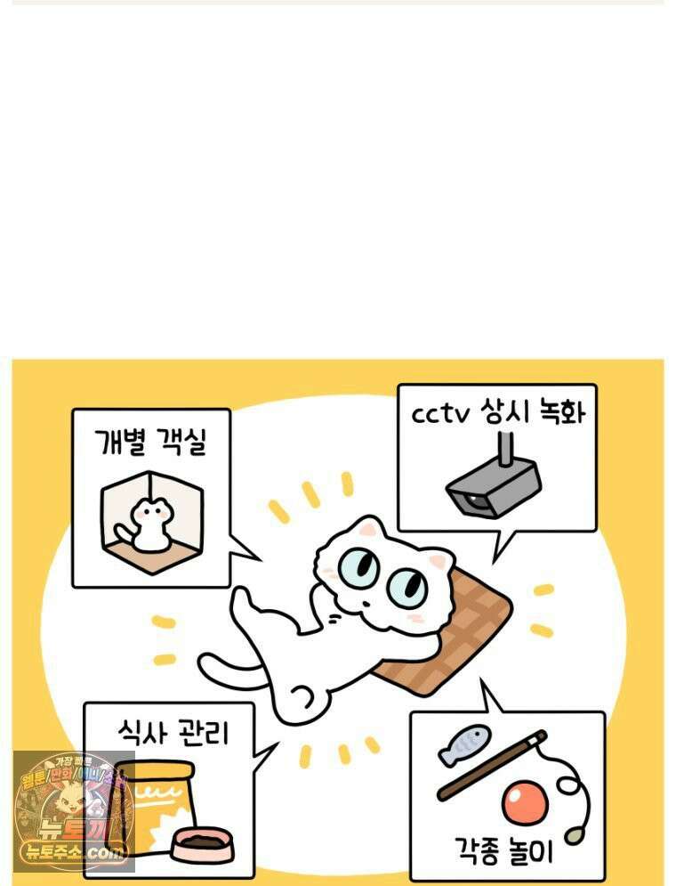 먼지 덩어리 짱덕 16． 고양이 두고 여행가기 1 9