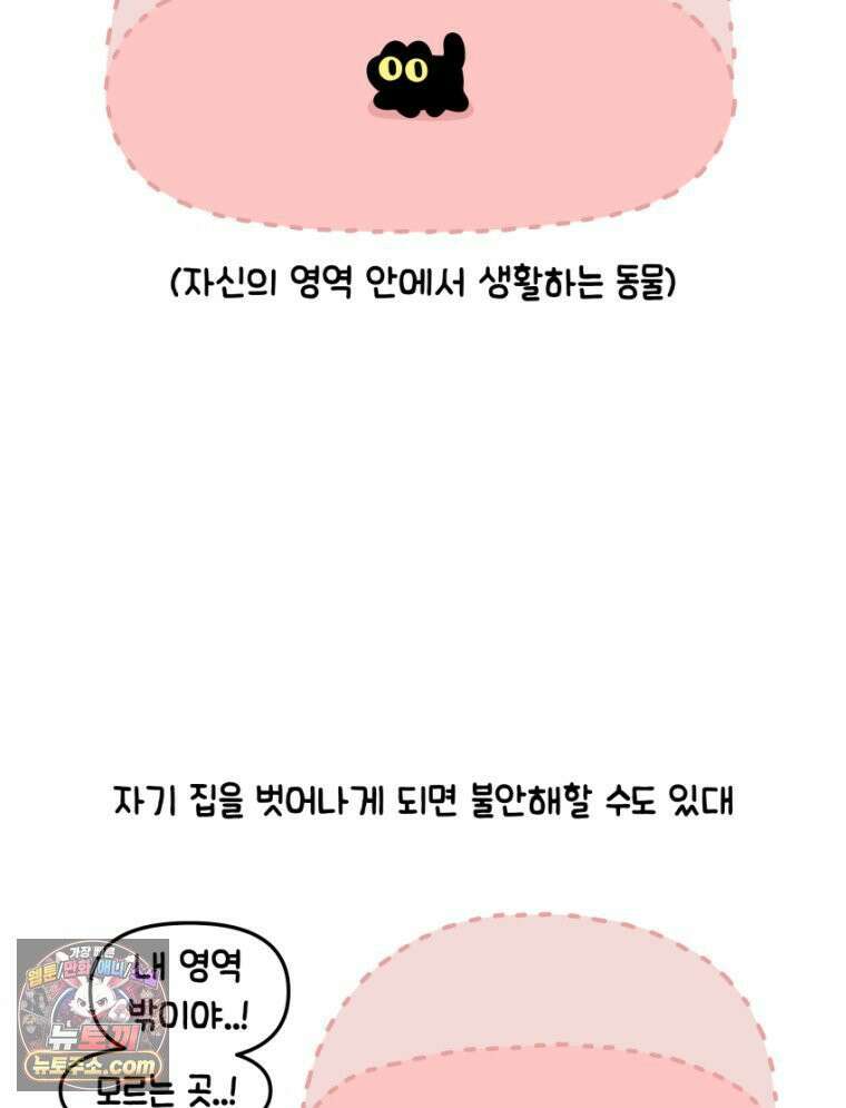 먼지 덩어리 짱덕 16． 고양이 두고 여행가기 1 11