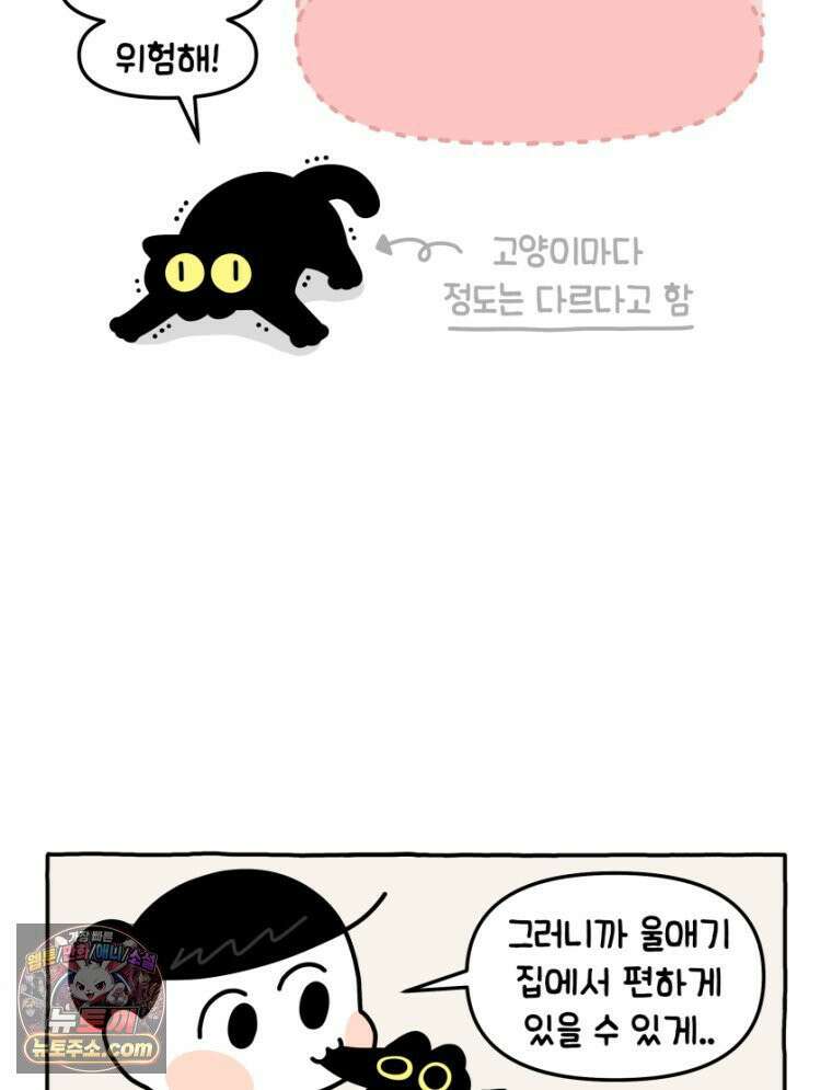 먼지 덩어리 짱덕 16． 고양이 두고 여행가기 1 12