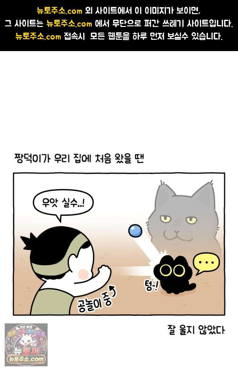 먼지 덩어리 짱덕 31． 말하는 짱덕 1