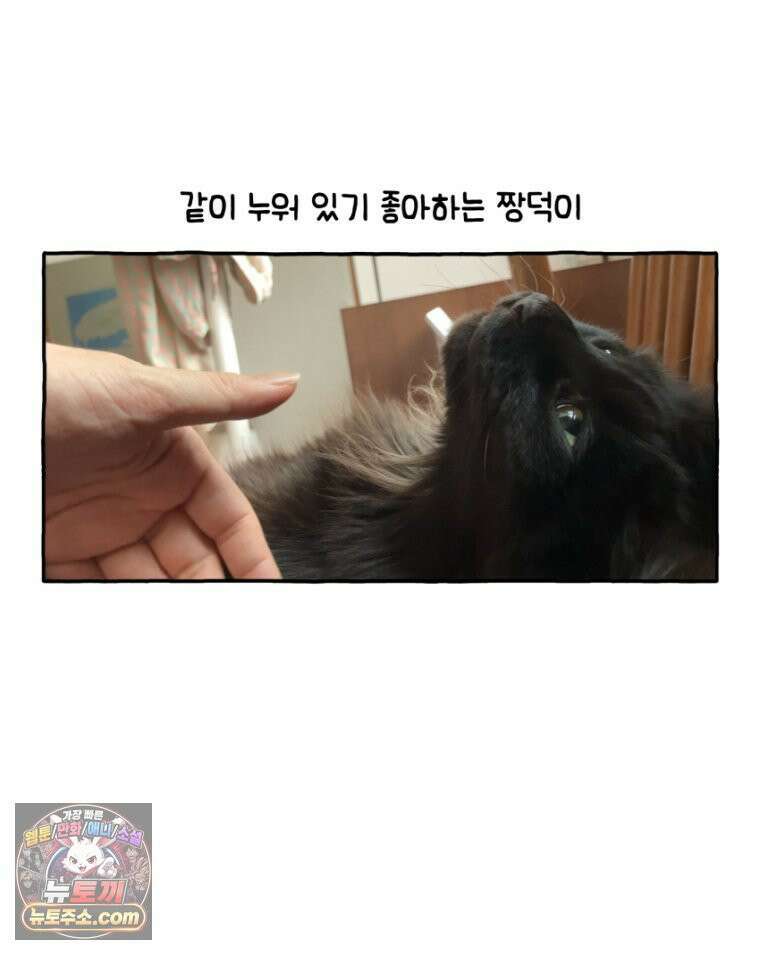 먼지 덩어리 짱덕 31． 말하는 짱덕 17