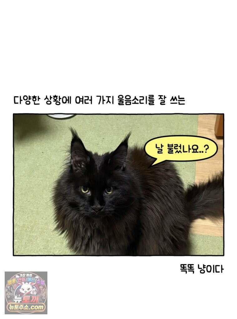 먼지 덩어리 짱덕 31． 말하는 짱덕 27