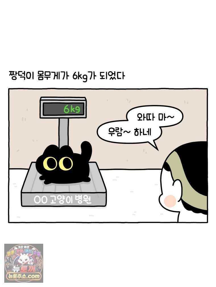 먼지 덩어리 짱덕 38． 짱덕이가 가득 2