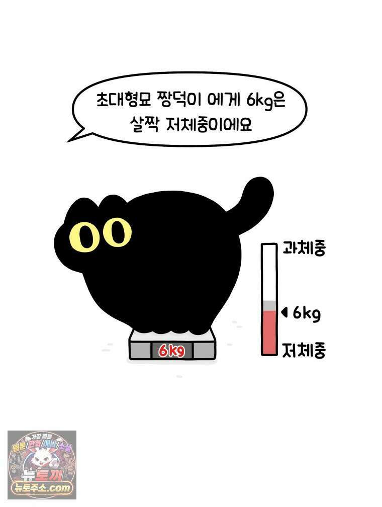먼지 덩어리 짱덕 38． 짱덕이가 가득 4