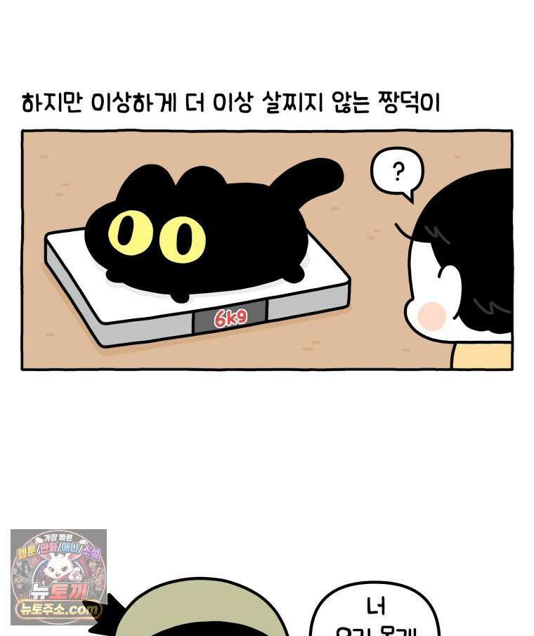 먼지 덩어리 짱덕 38． 짱덕이가 가득 8