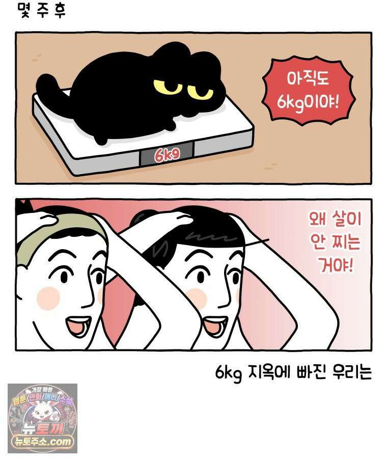 먼지 덩어리 짱덕 38． 짱덕이가 가득 11