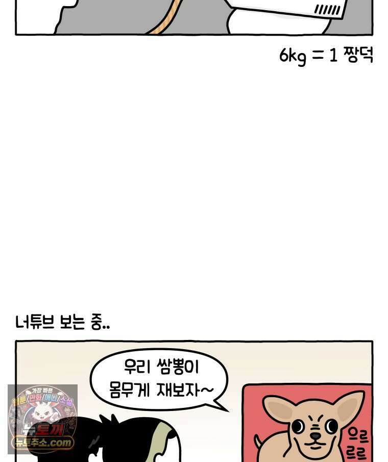 먼지 덩어리 짱덕 38． 짱덕이가 가득 13