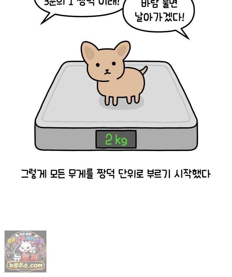 먼지 덩어리 짱덕 38． 짱덕이가 가득 15