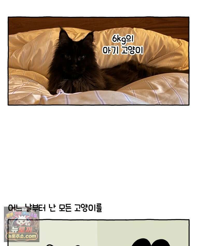 먼지 덩어리 짱덕 38． 짱덕이가 가득 16