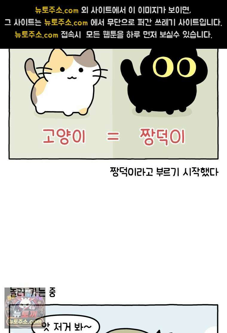 먼지 덩어리 짱덕 38． 짱덕이가 가득 17