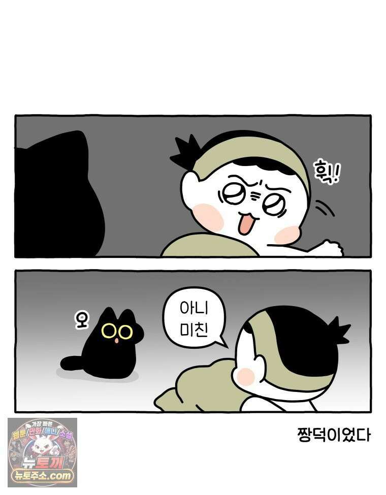 먼지 덩어리 짱덕 50． 집사 놀래키기 7