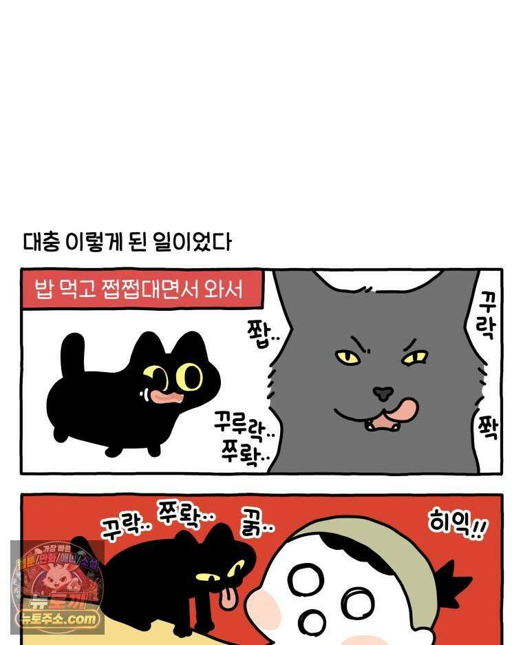 먼지 덩어리 짱덕 50． 집사 놀래키기 11