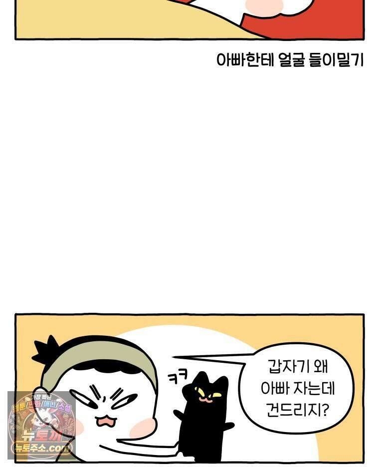 먼지 덩어리 짱덕 50． 집사 놀래키기 12
