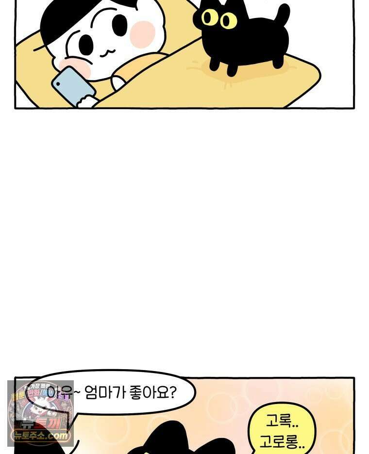 먼지 덩어리 짱덕 50． 집사 놀래키기 14
