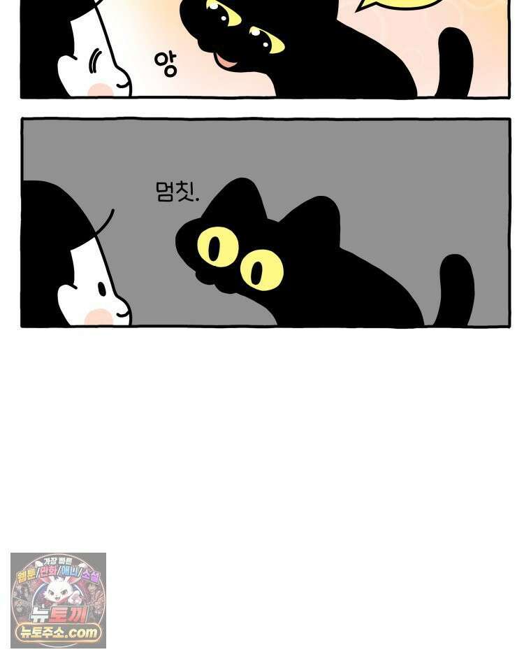 먼지 덩어리 짱덕 50． 집사 놀래키기 15