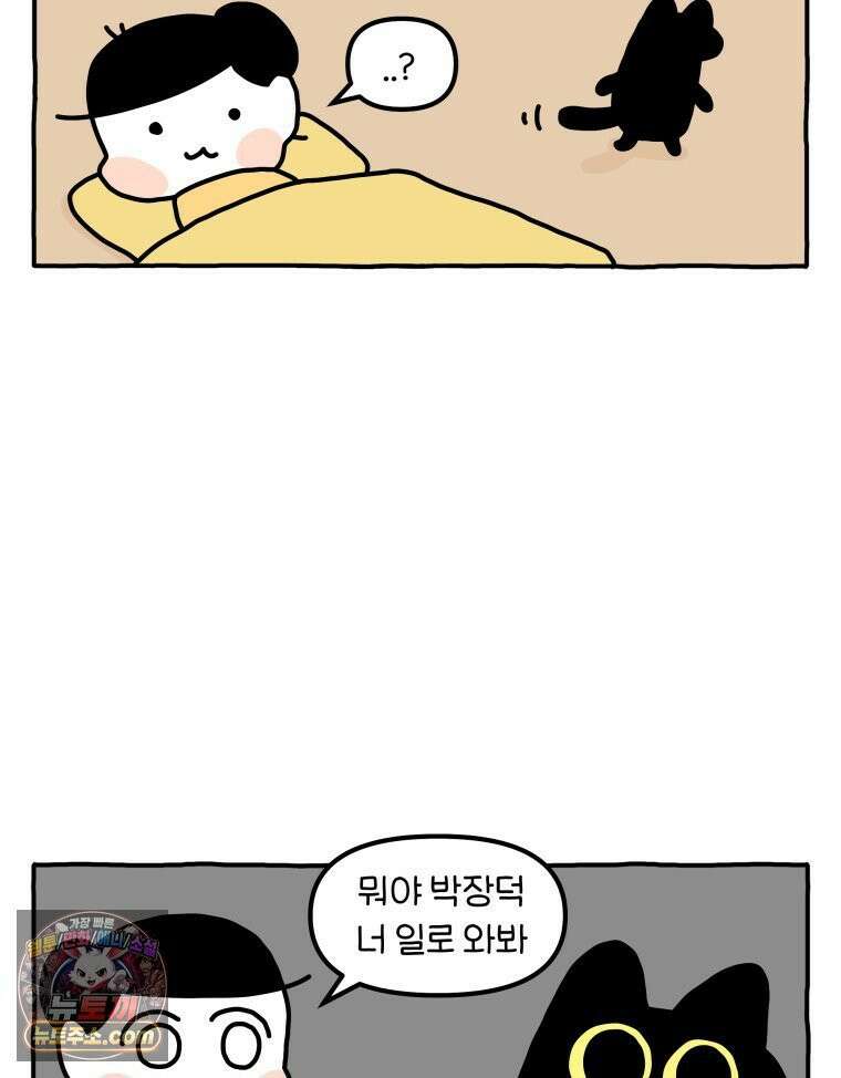 먼지 덩어리 짱덕 50． 집사 놀래키기 18