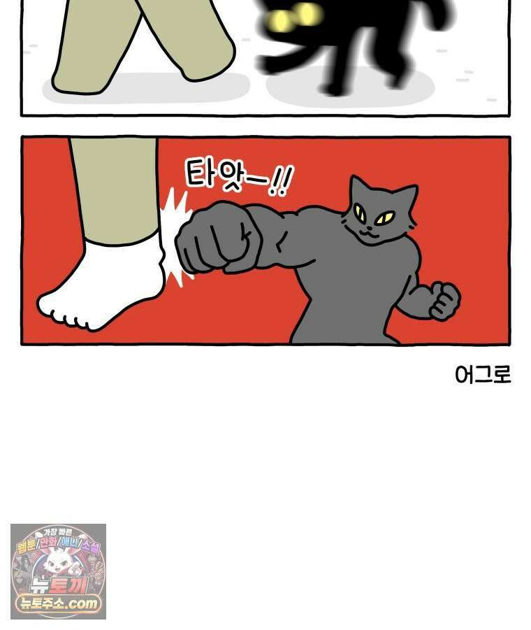 먼지 덩어리 짱덕 50． 집사 놀래키기 27