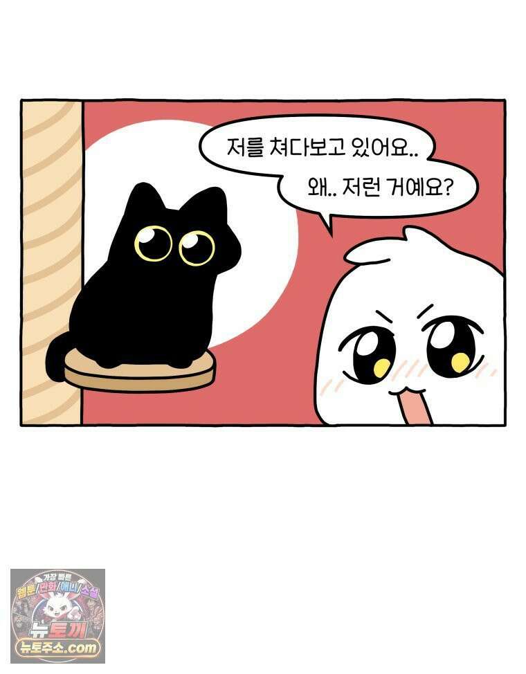 먼지 덩어리 짱덕 55． 벌레 퇴치 2 11