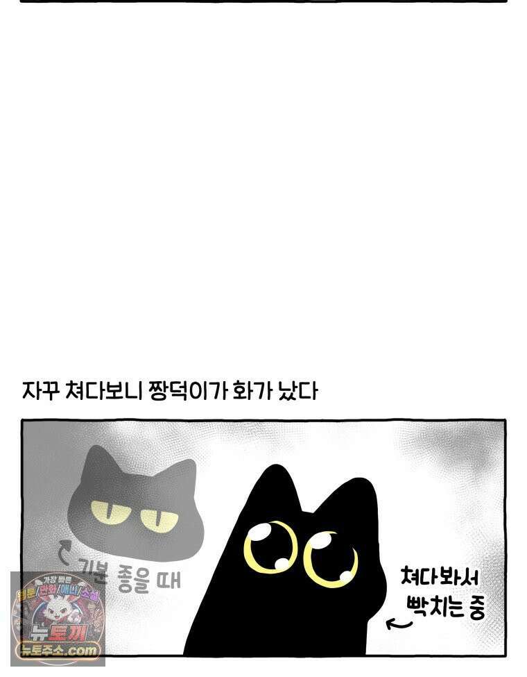 먼지 덩어리 짱덕 55． 벌레 퇴치 2 21