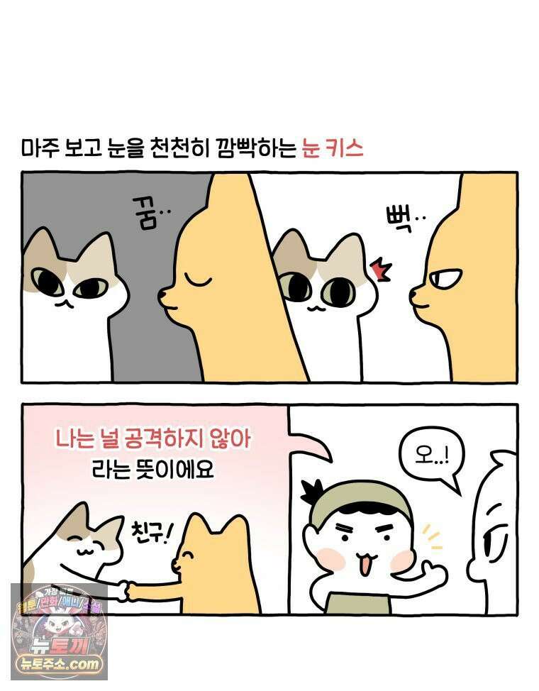 먼지 덩어리 짱덕 55． 벌레 퇴치 2 27