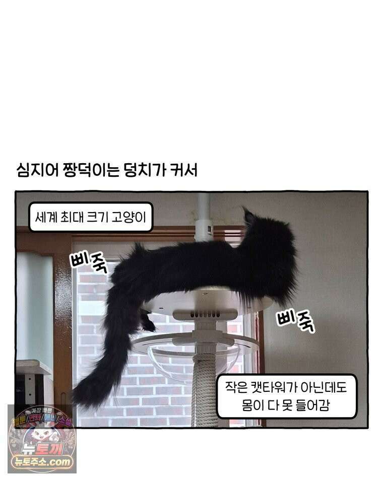 먼지 덩어리 짱덕 60． 이사 가고 싶다 10