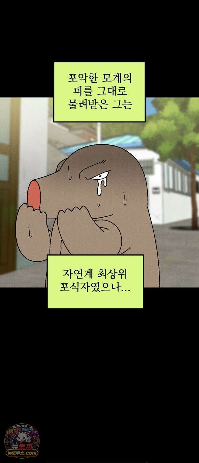 티라노 노경수 64크아앙 6