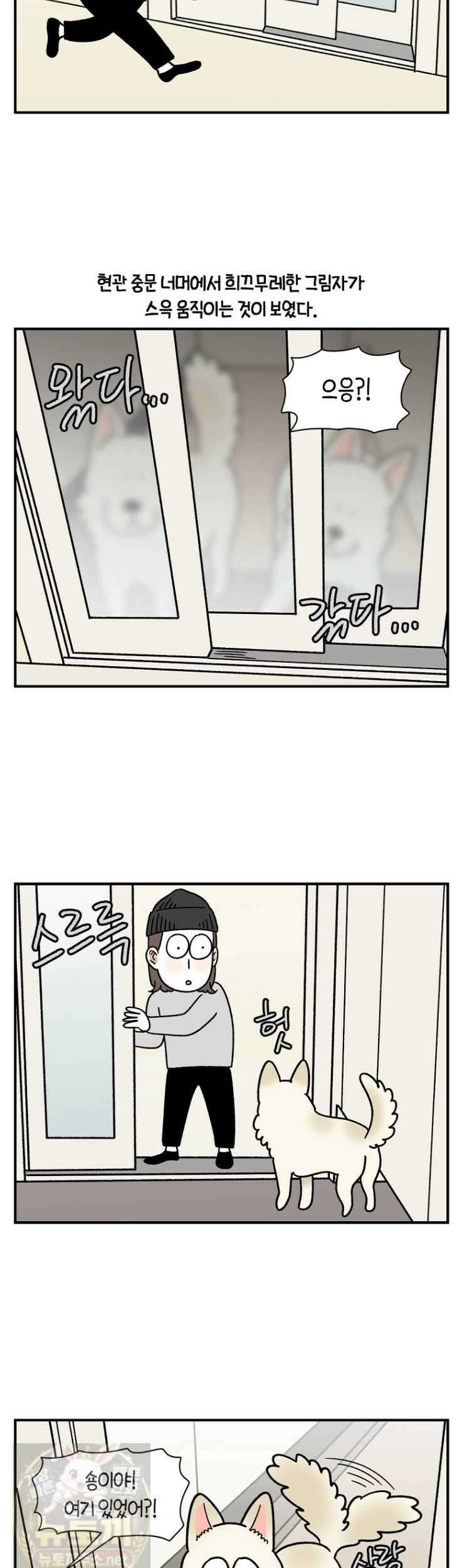 극한견주 시즌2 133화 5