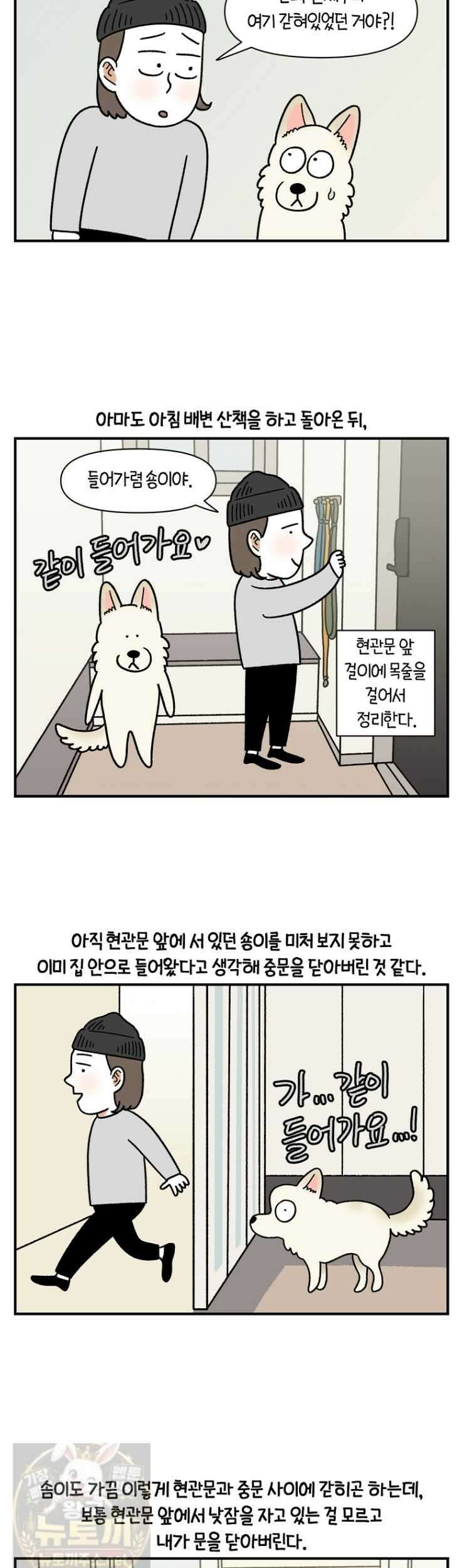 극한견주 시즌2 133화 7
