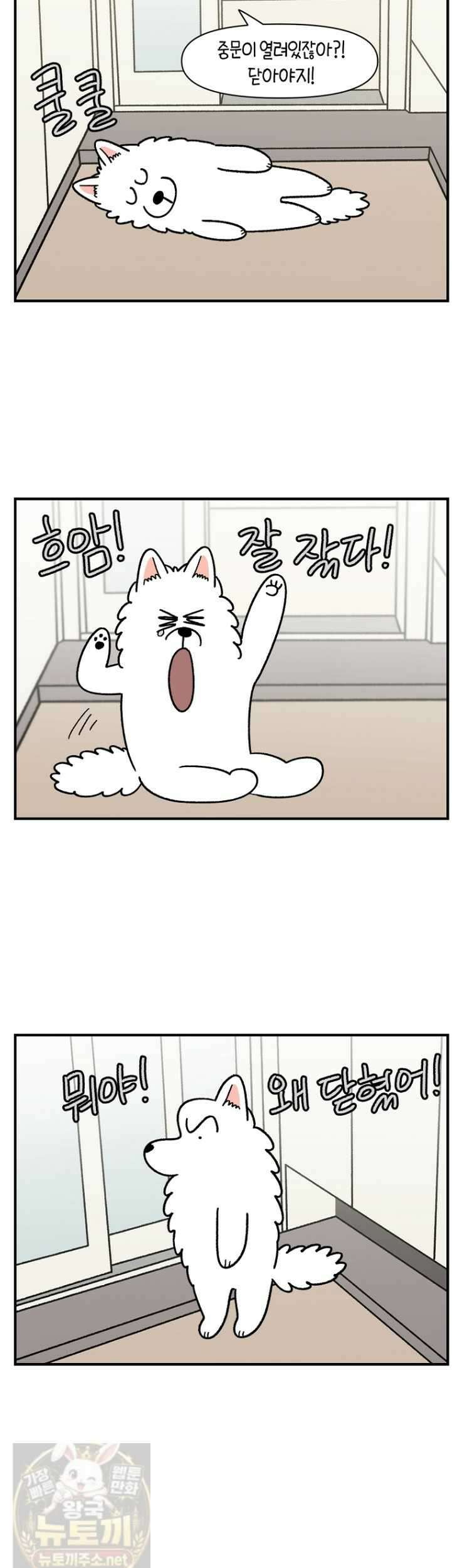 극한견주 시즌2 133화 8
