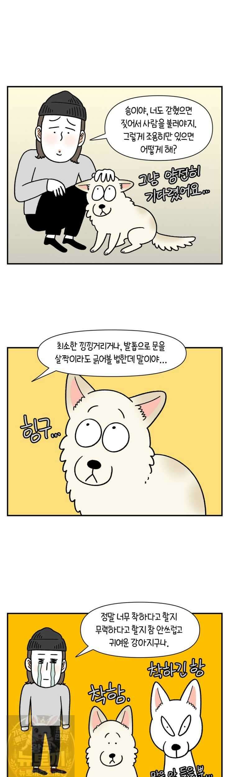 극한견주 시즌2 133화 10