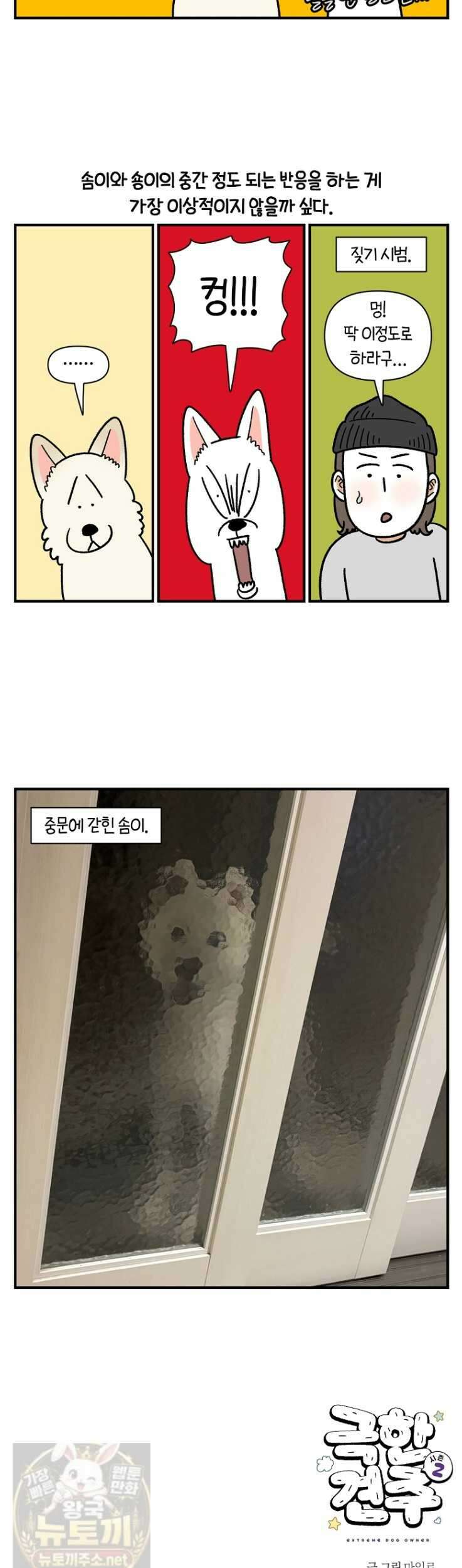 극한견주 시즌2 133화 11