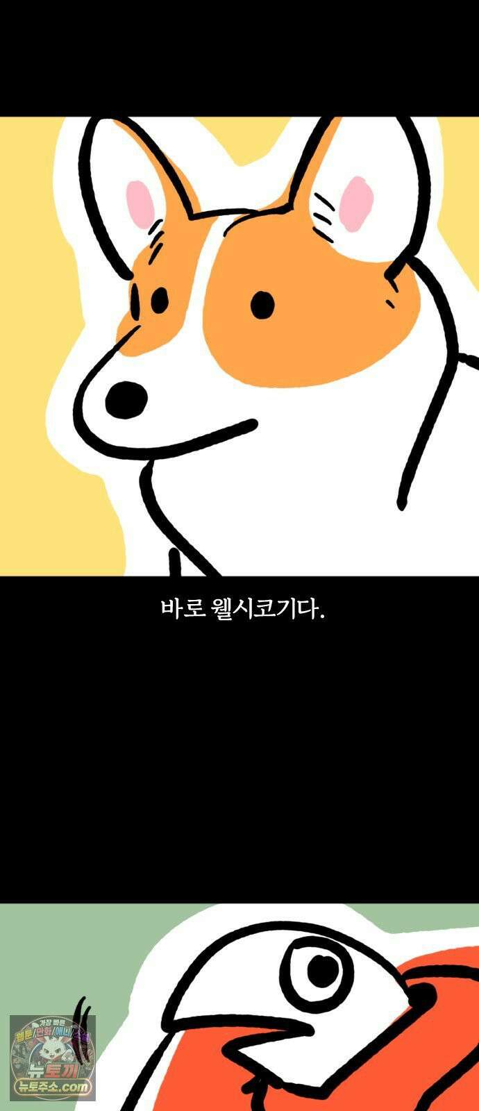 개집사 148화: 알바 일지?견종 특집? -웰시코기편 4