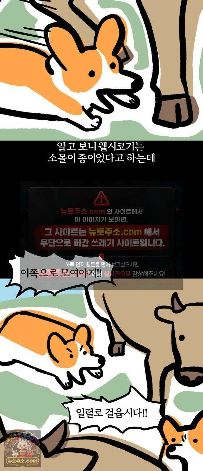 개집사 148화: 알바 일지?견종 특집? -웰시코기편 12