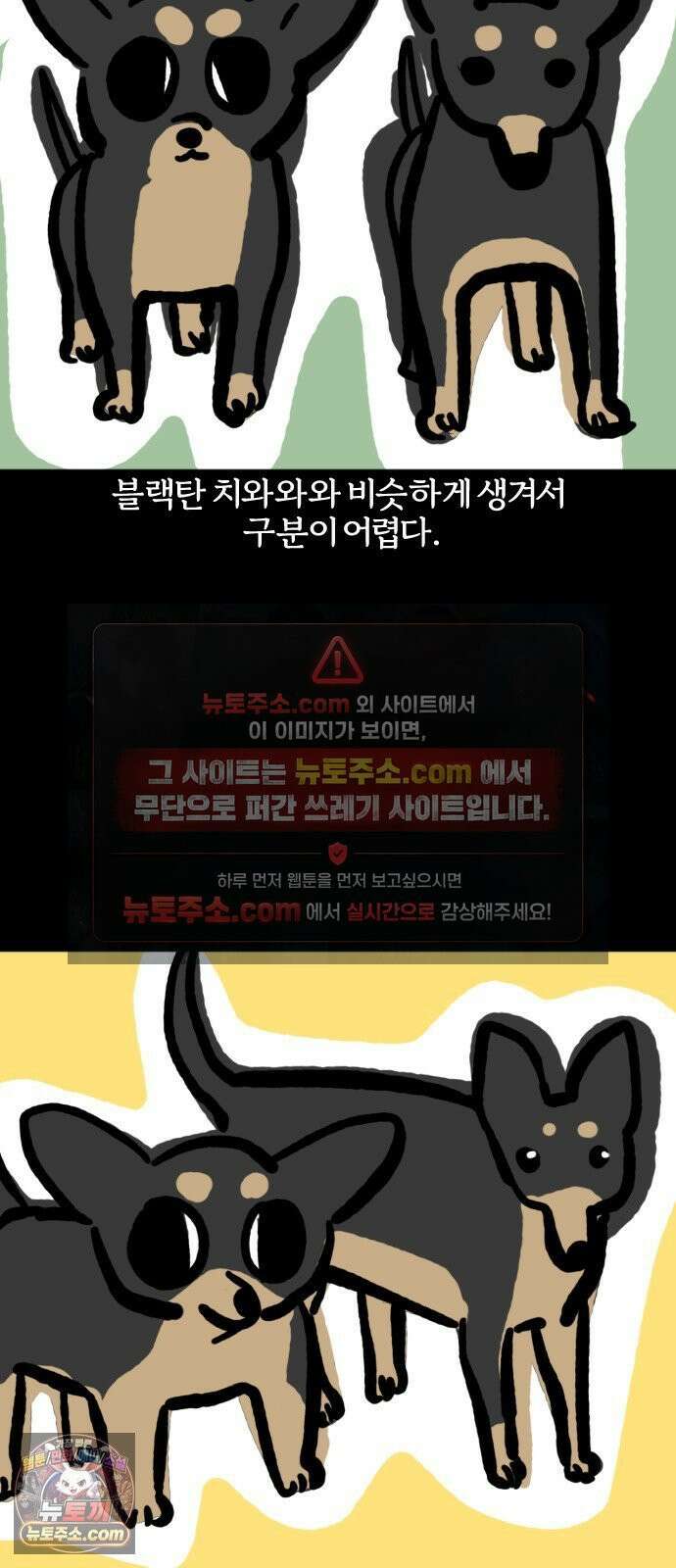 개집사 158화: 알바 일지?견종 특집? -미니핀 편 5