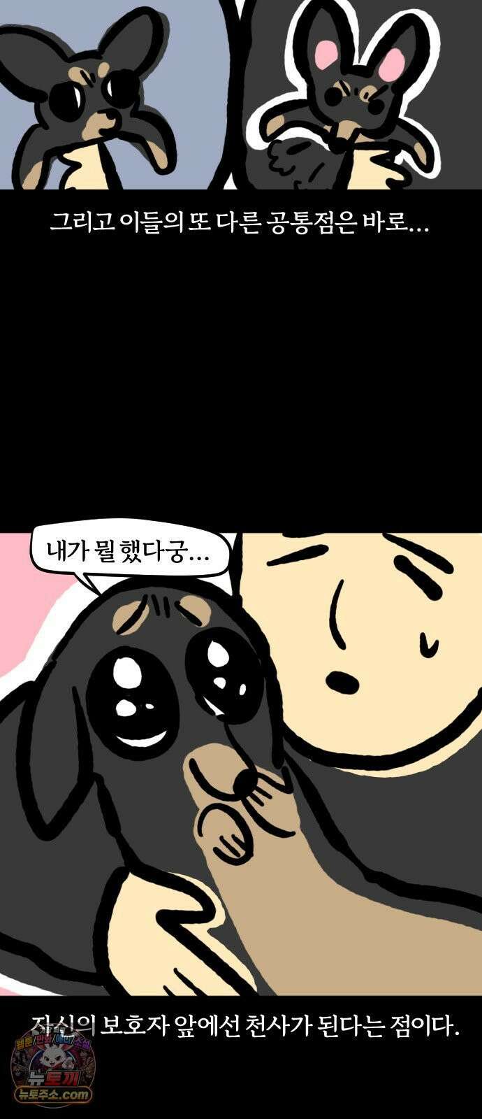 개집사 158화: 알바 일지?견종 특집? -미니핀 편 8