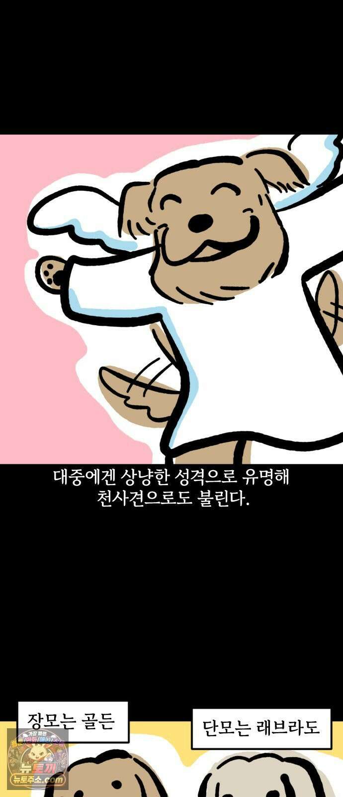 개집사 166화: 돌아온 견종 특집-리트리버 4