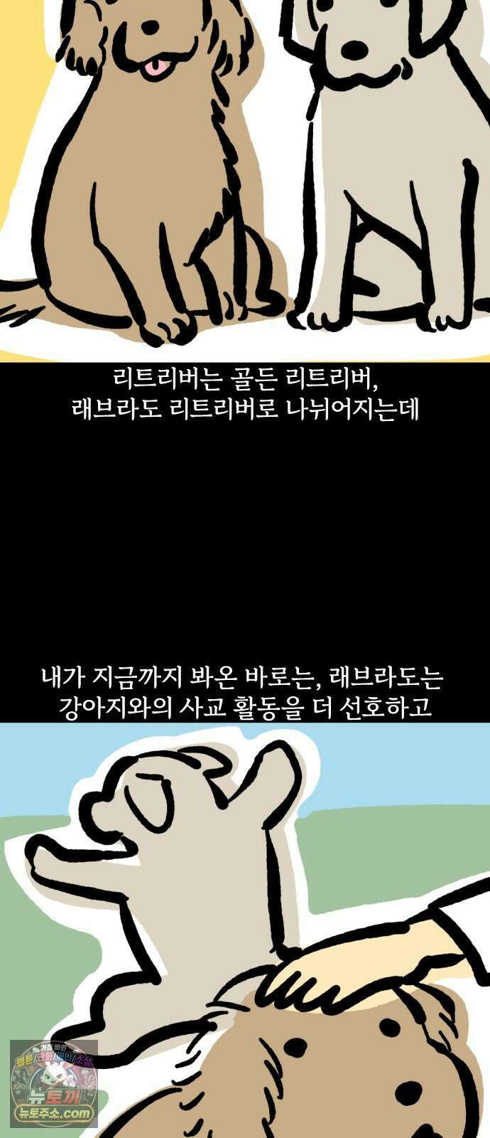 개집사 166화: 돌아온 견종 특집-리트리버 5