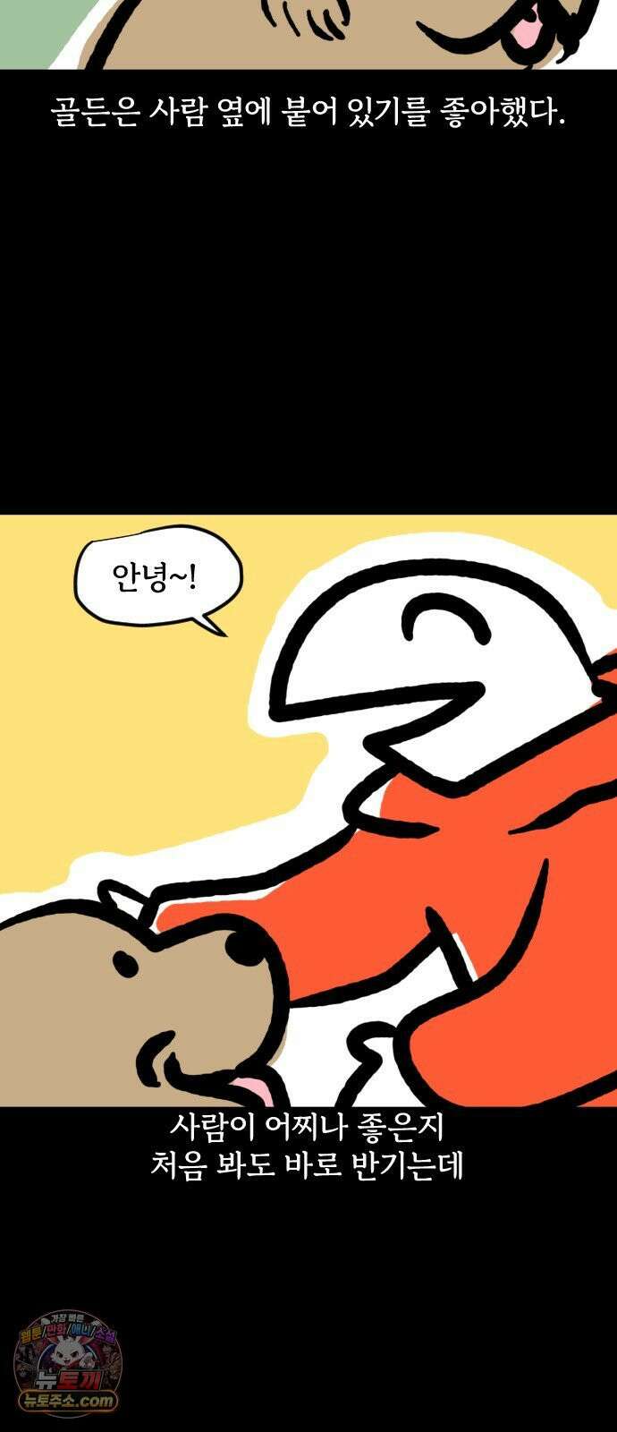 개집사 166화: 돌아온 견종 특집-리트리버 6