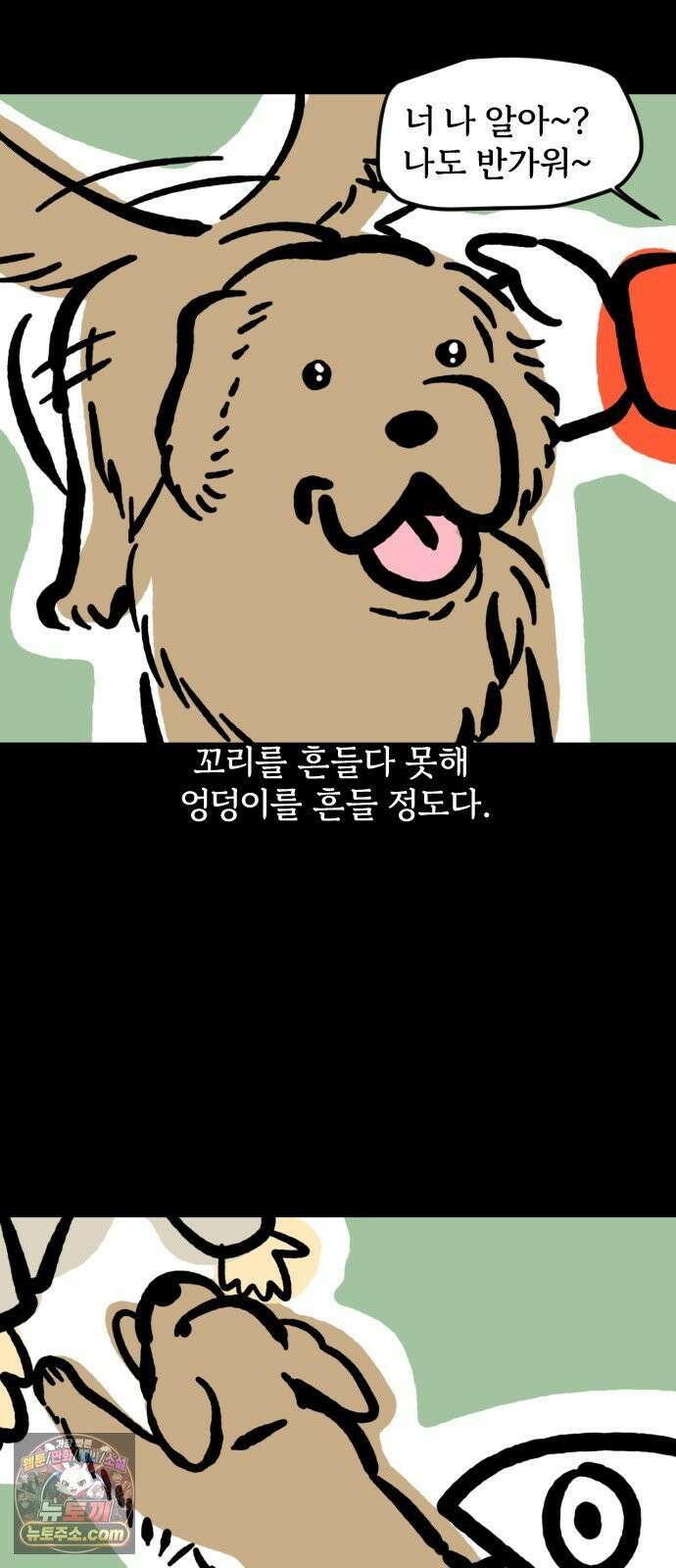 개집사 166화: 돌아온 견종 특집-리트리버 7