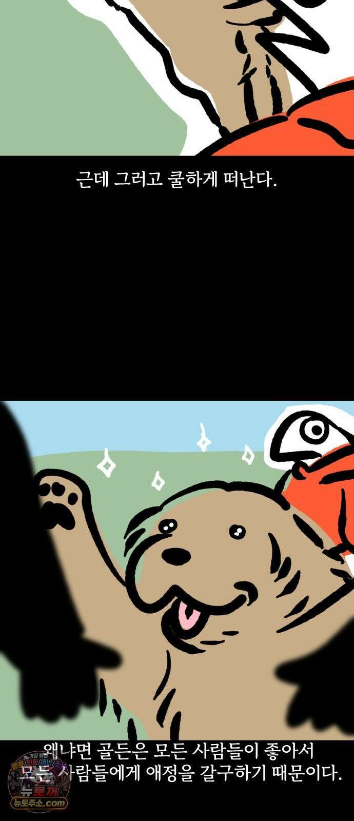 개집사 166화: 돌아온 견종 특집-리트리버 8