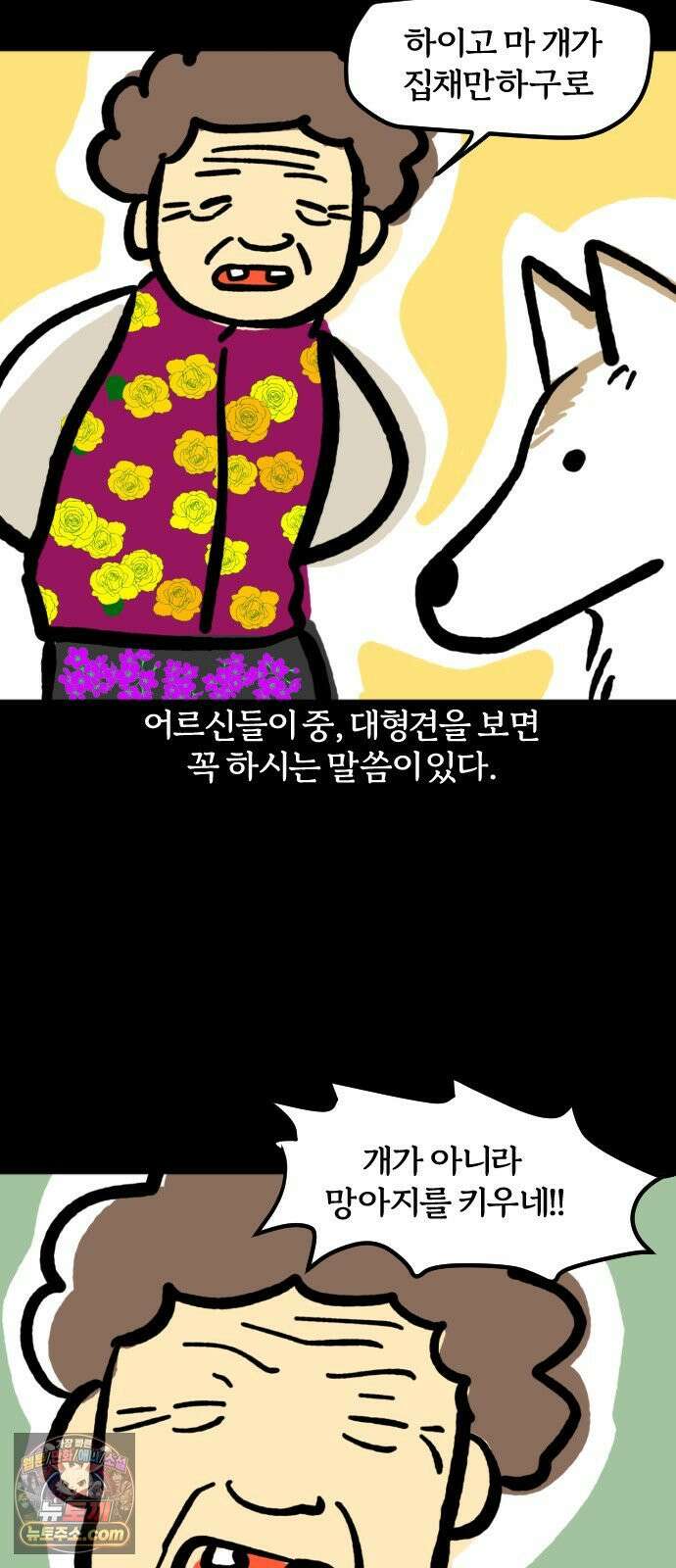 개집사 180화: 돌아온 견종 특집-도베르만 편 2