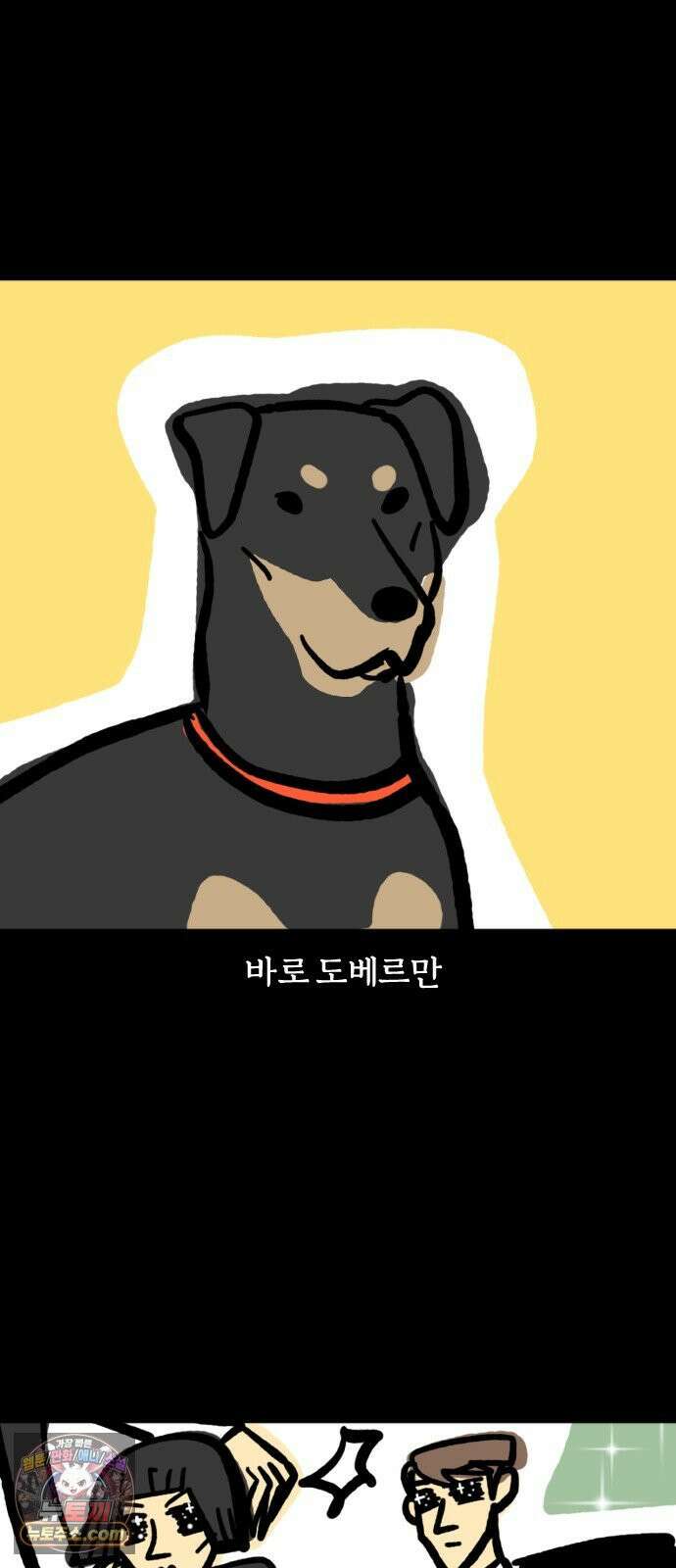 개집사 180화: 돌아온 견종 특집-도베르만 편 4