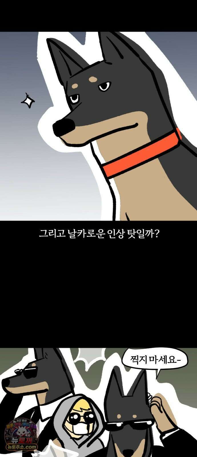개집사 180화: 돌아온 견종 특집-도베르만 편 7