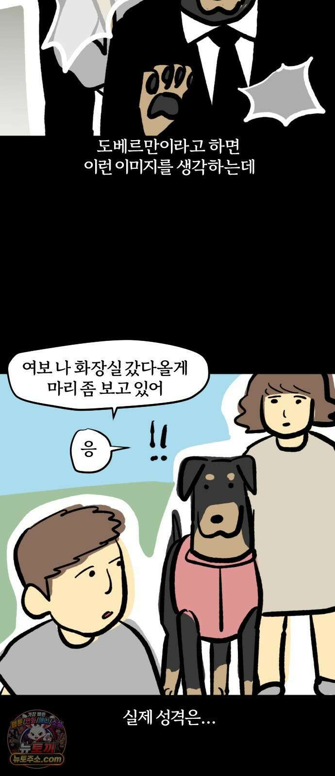 개집사 180화: 돌아온 견종 특집-도베르만 편 8