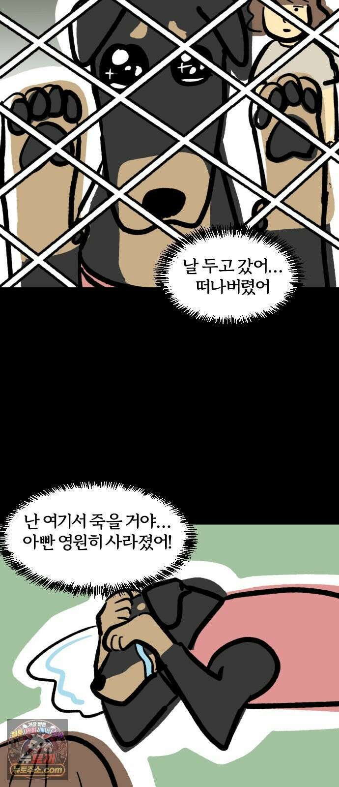 개집사 180화: 돌아온 견종 특집-도베르만 편 10
